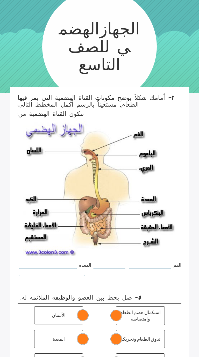 الجهازالهضمي للصف التاسع worksheet preview image