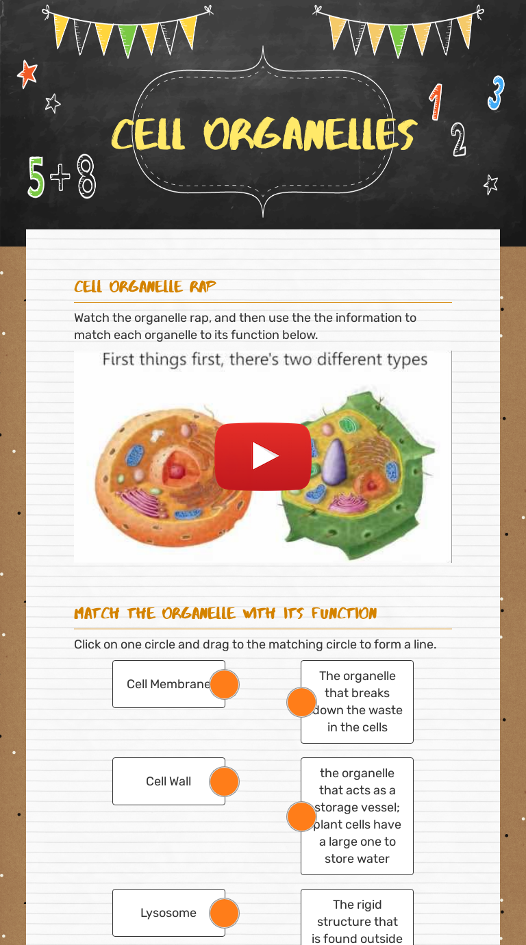 Cell Organelles | Interactive Worksheet By Shereaka Jones | Wizer.me