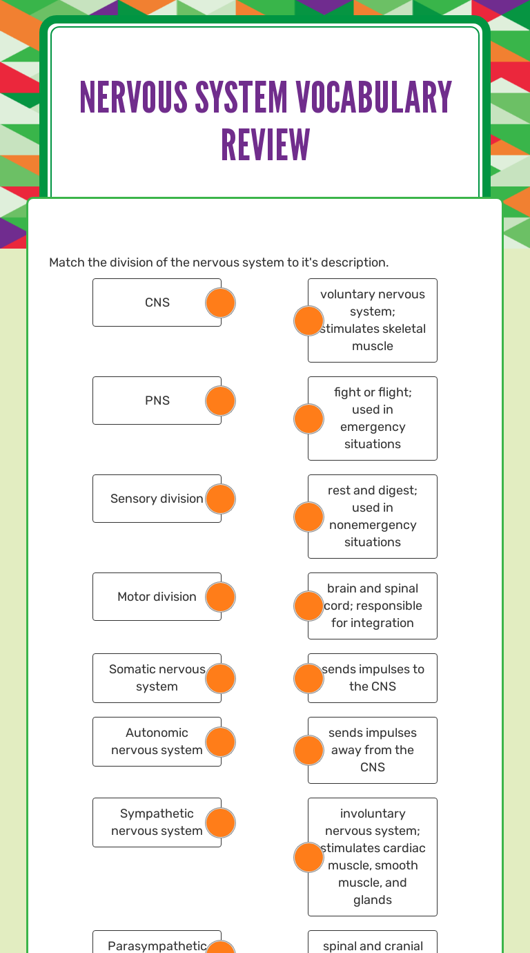 Nervous System Vocabulary Review worksheet