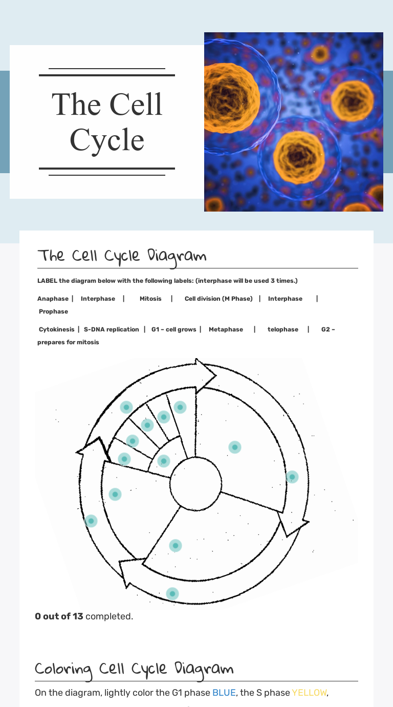 The Cell Cycle Interactive Worksheet By Amy Murphy Wizer Me