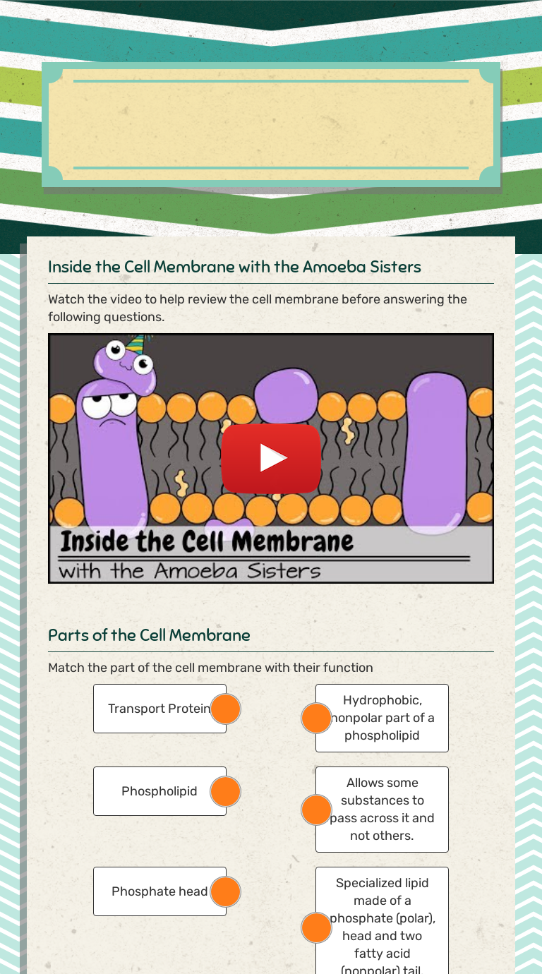 Cell Membrane and Cell Transport | Interactive Worksheet by Cara Storer