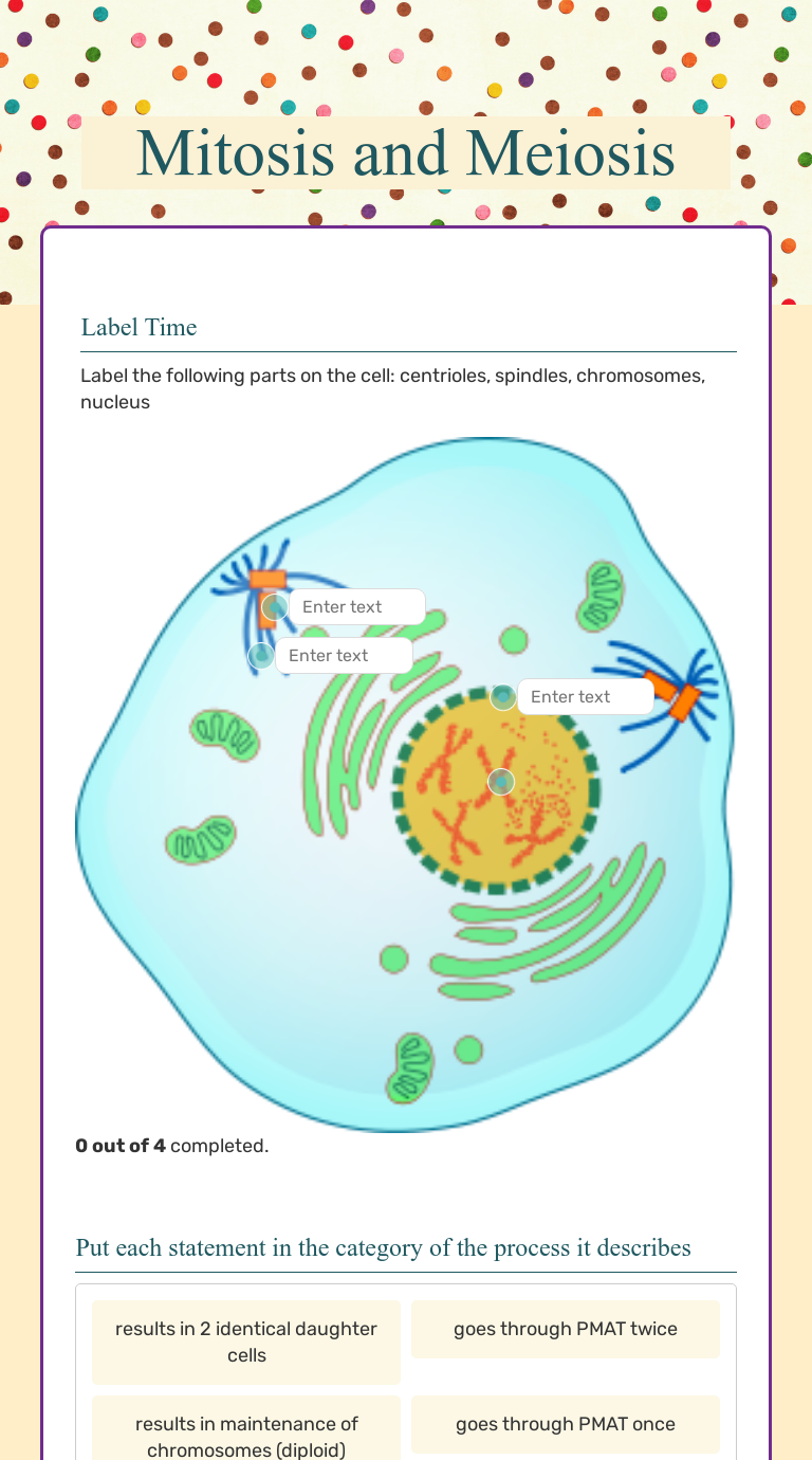 Mitosis And Meiosis Interactive Worksheet By Emily Wieczorek Wizer Me