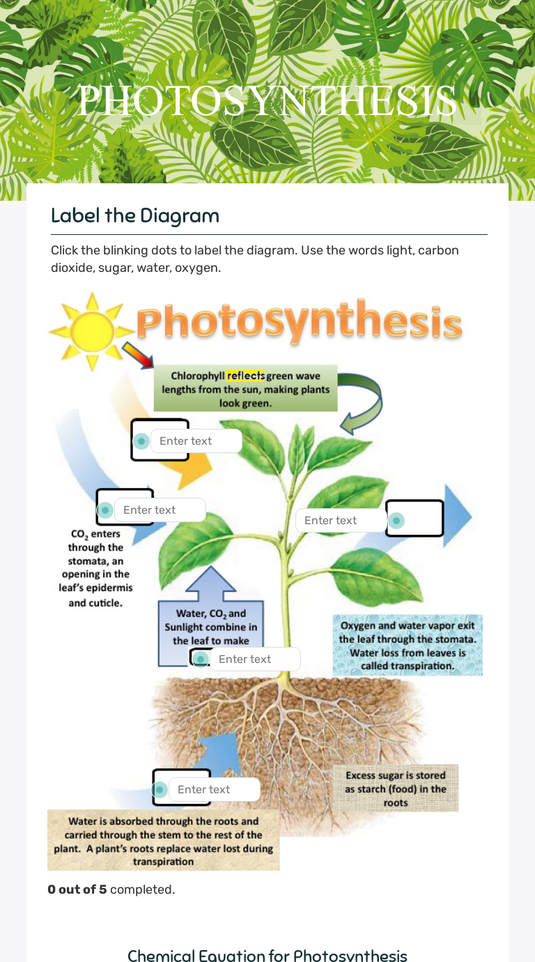 PHOTOSYNTHESIS  Interactive Worksheet by KAITLYN PHILO  Wizer.me With Photosynthesis Diagrams Worksheet Answers