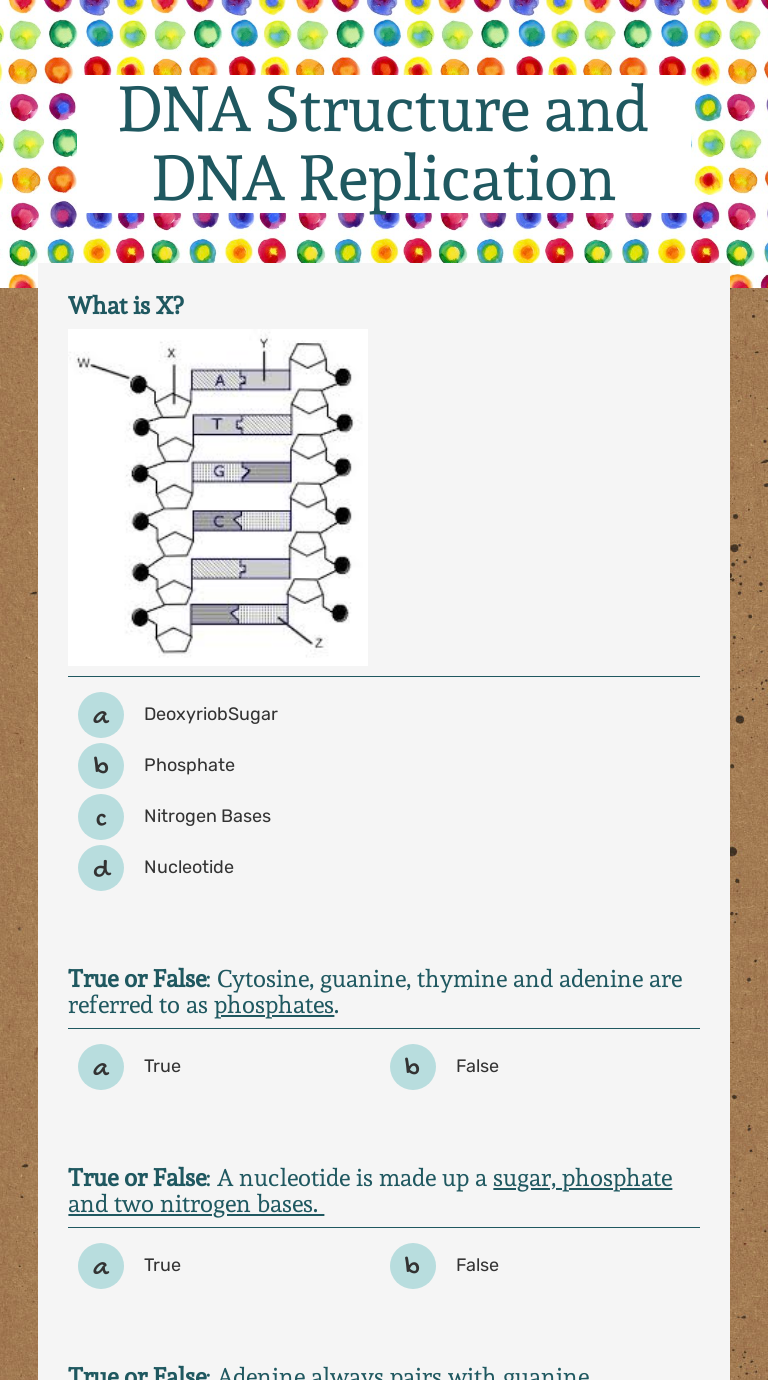 DNA Structure and DNA Replication worksheet preview image