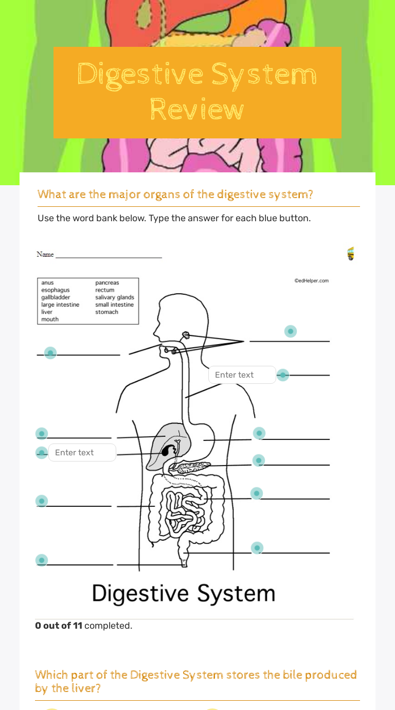 Digestive System Review  Interactive Worksheet by Tracey Muise With Regard To Digestive System Worksheet Answers