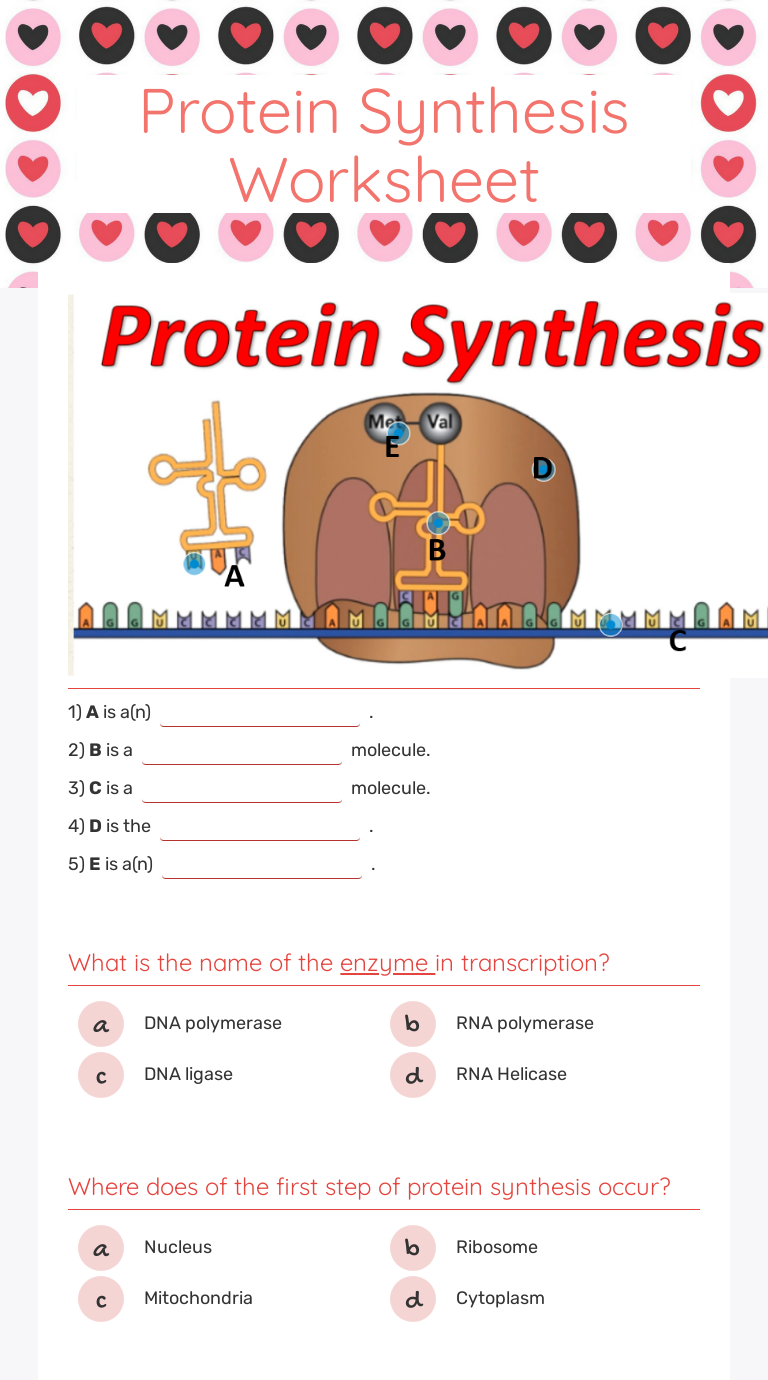 Protein Synthesis Worksheet Answer Key – Pro Worksheet