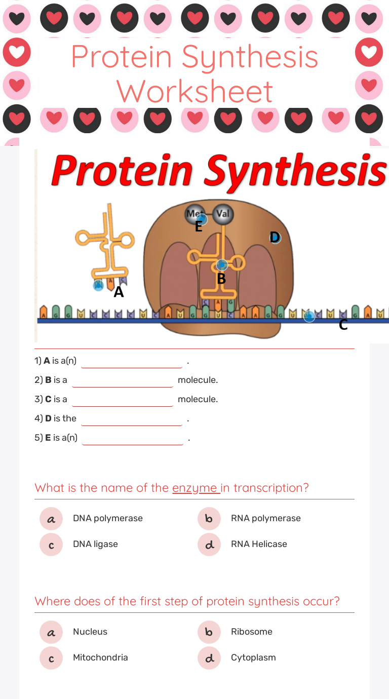 Protein Synthesis Worksheet  Interactive Worksheet by Carly Lide For Protein Synthesis Worksheet Answers