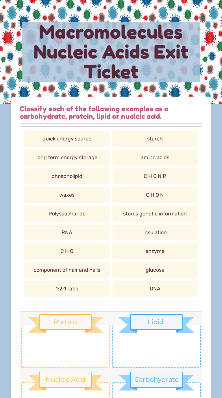 Macromolecules Nucleic Acids Exit Ticket Interactive Worksheet by Sylvia Wells Wizer.me