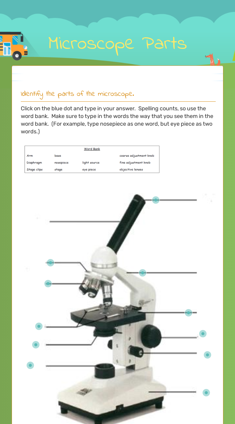 Microscope Parts Interactive Worksheet by Batya Kinsberg Wizer.me