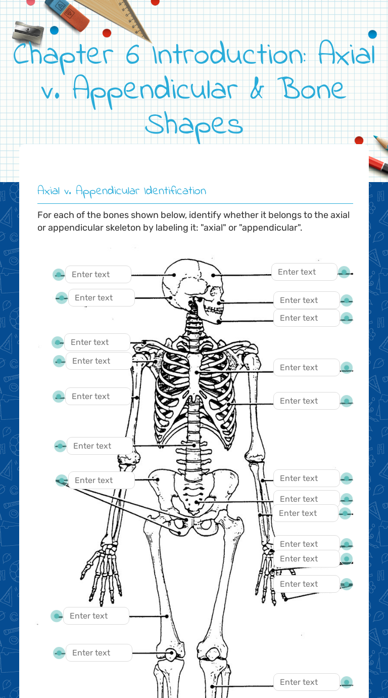 Appendicular Skeleton Worksheet Answers - Worksheets For Home Learning