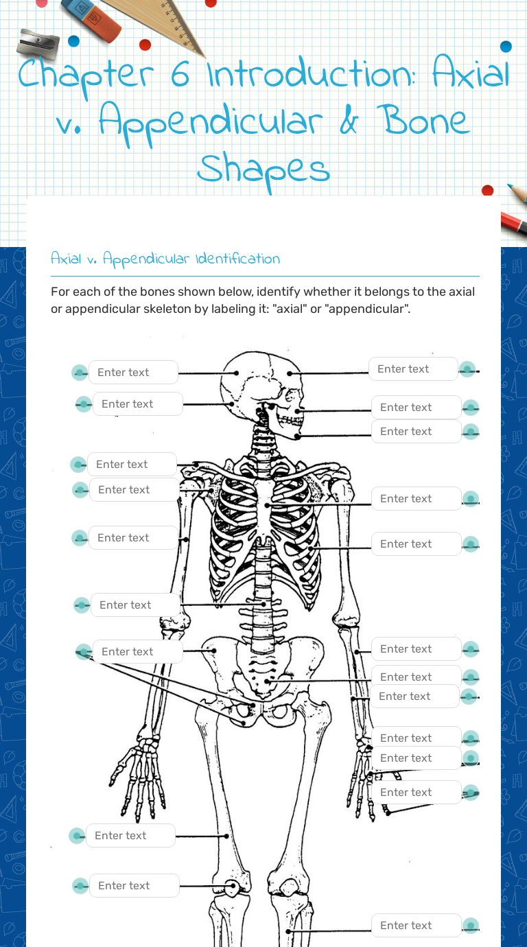 Chapter 4  Introduction: Axial v. Appendicular & Bone Shapes With Regard To  Appendicular Skeleton Worksheet Answers