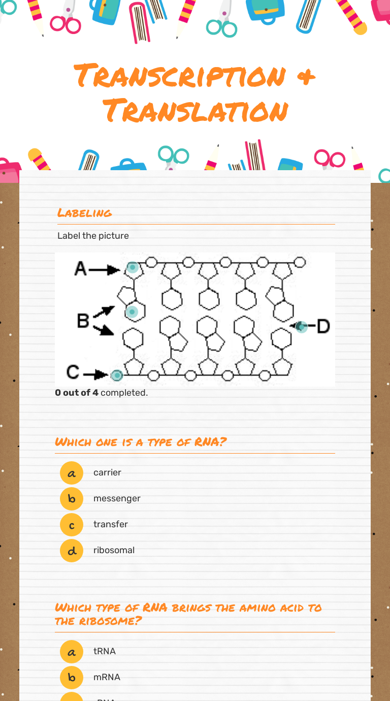 Transcription Translation Interactive Worksheet Wizer Me