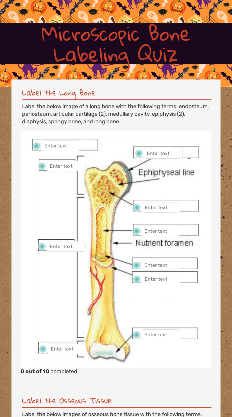 Microscopic Bone Labeling Quiz Interactive Worksheet By Kaleb Bassett Wizer Me