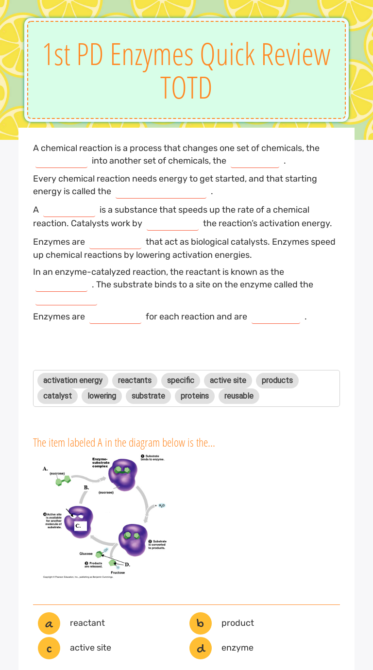 25st PD Enzymes Quick Review TOTD  Interactive Worksheet by Ashley Intended For Enzyme Review Worksheet Answers