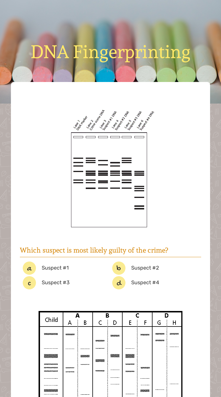 DNA Fingerprinting | Interactive Worksheet By Melanie Schoonmaker ...