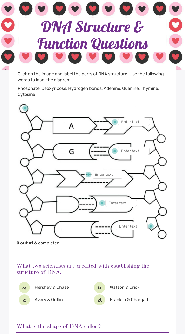 dna structure diagram worksheet