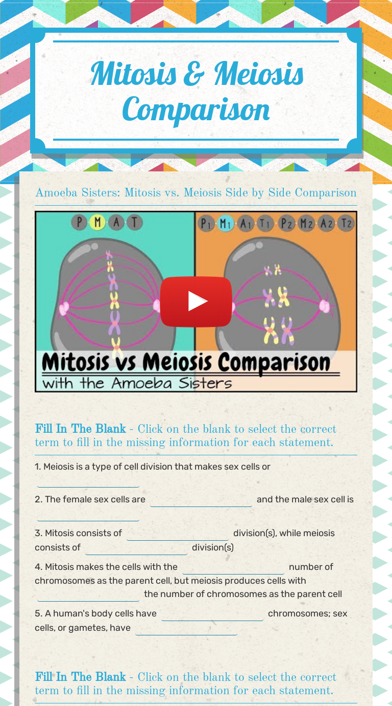 mitosis-meiosis-comparison-interactive-worksheet-by-vanessa