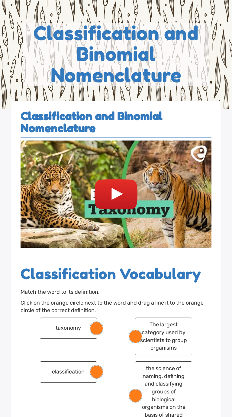 classification-and-binomial-nomenclature-interactive-worksheet-by