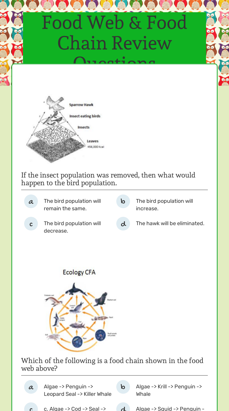 food web critical thinking questions