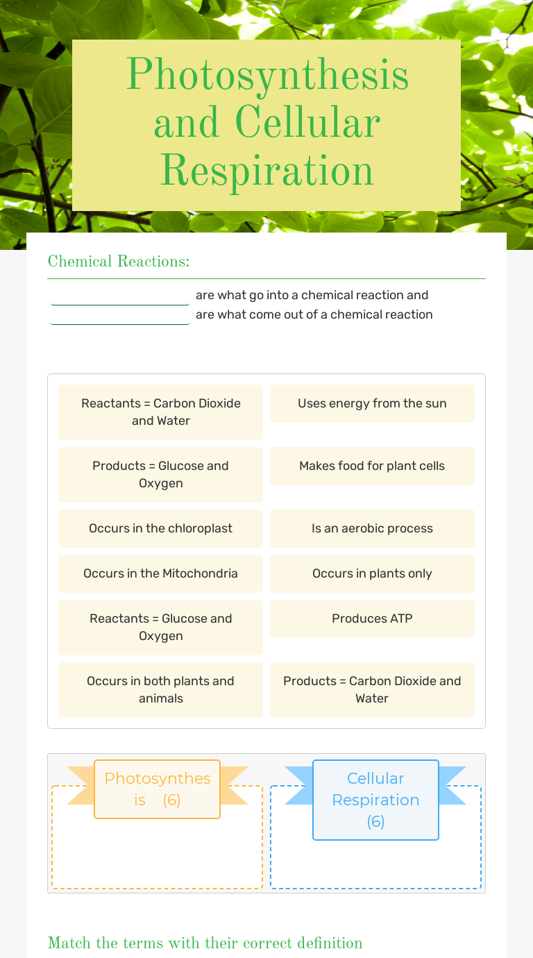 Photosynthesis and Cellular Respiration | Interactive Worksheet by ...