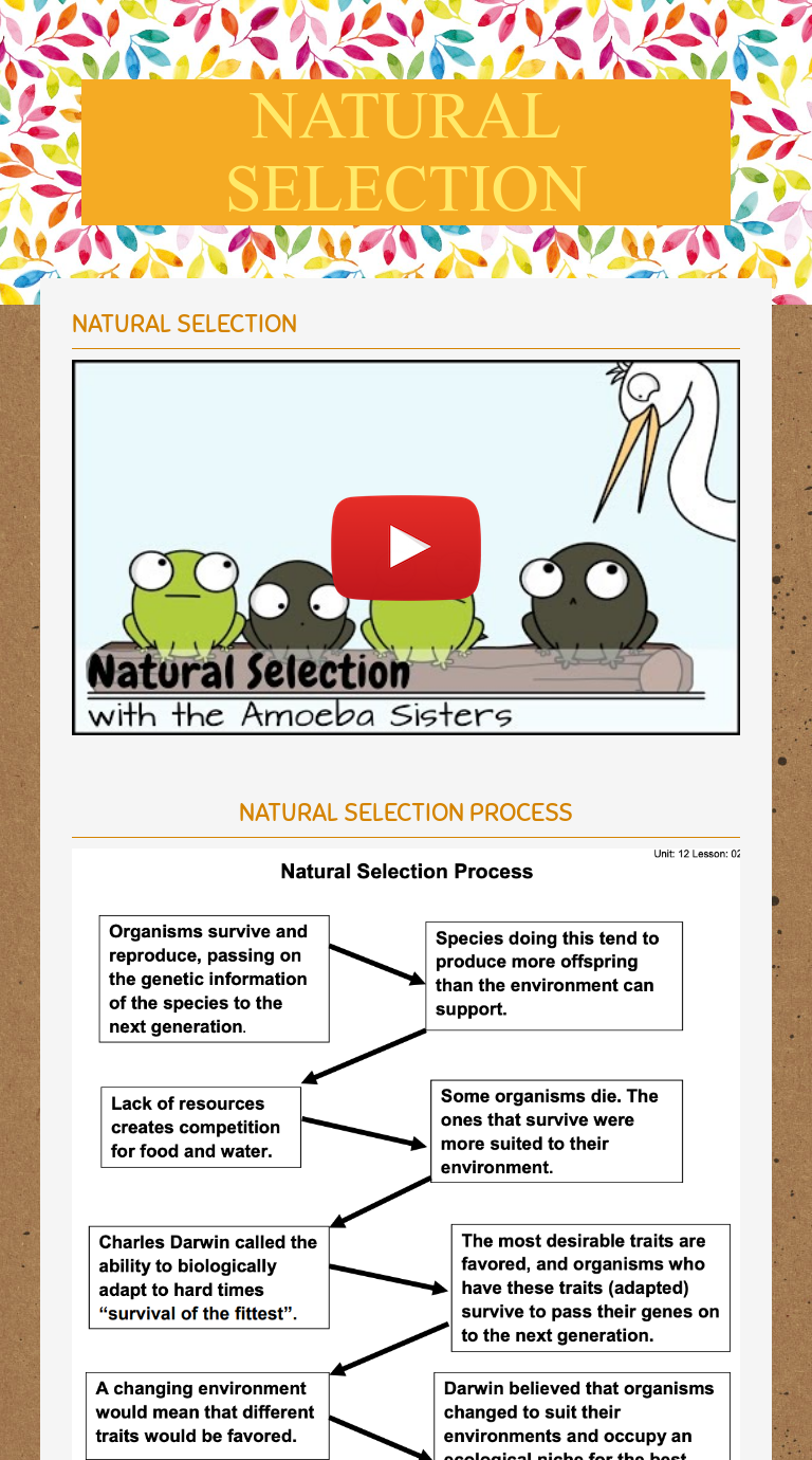 NATURAL SELECTION  Interactive Worksheet by Marcela Martinez Throughout Darwin Natural Selection Worksheet