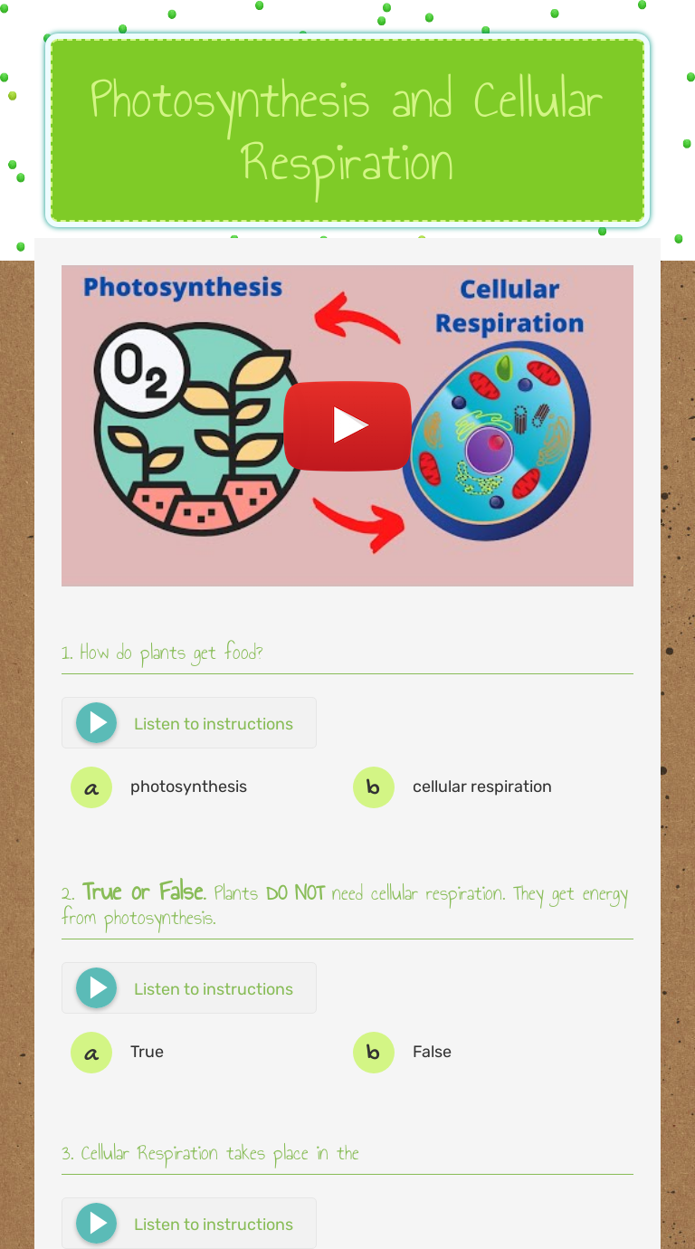Photosynthesis and Cellular Respiration Interactive Worksheet by