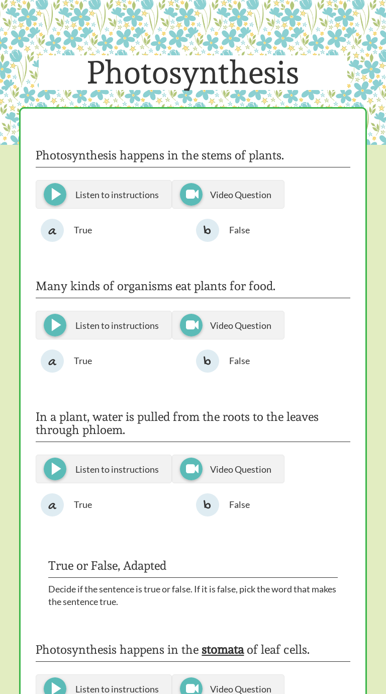 Photosynthesis worksheet preview image
