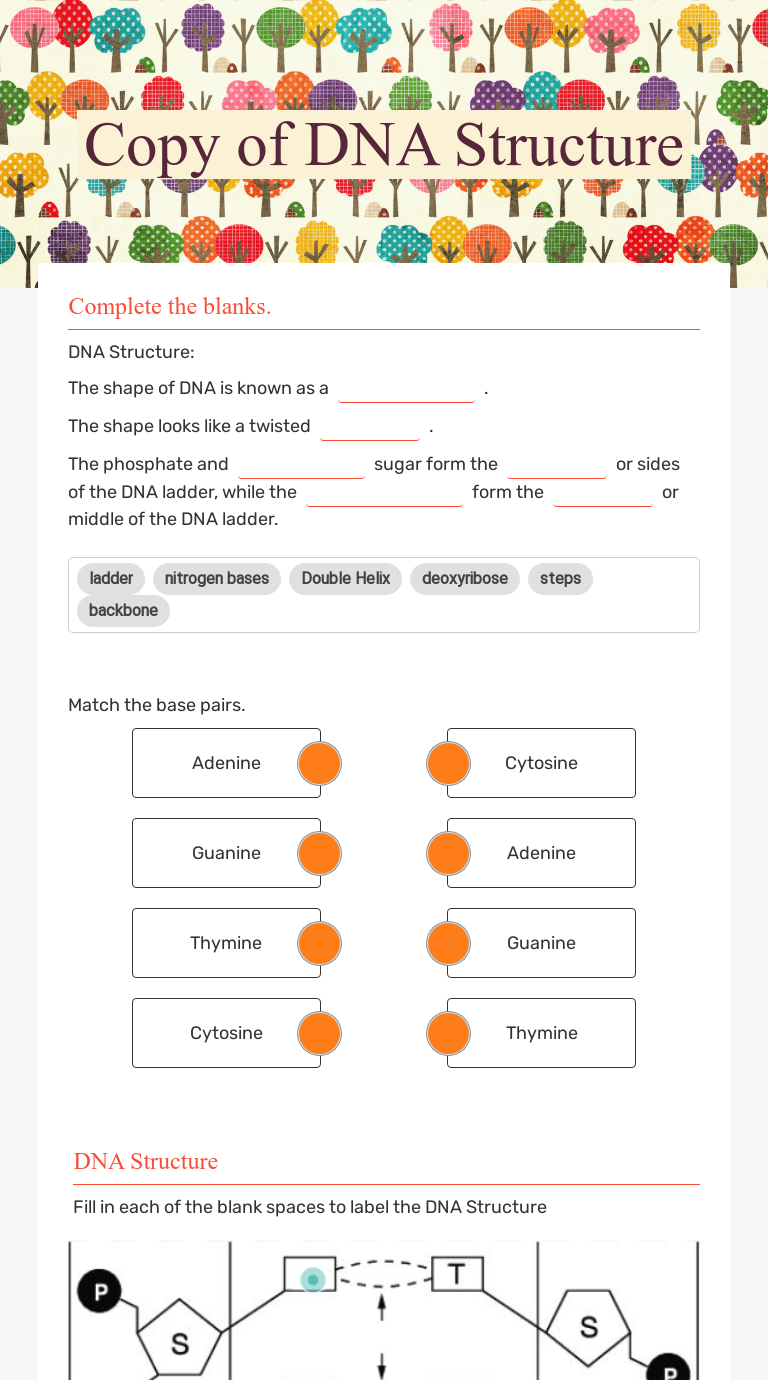 Copy of DNA Structure  Interactive Worksheet by Michael Scolire Pertaining To Dna Structure Worksheet Answer