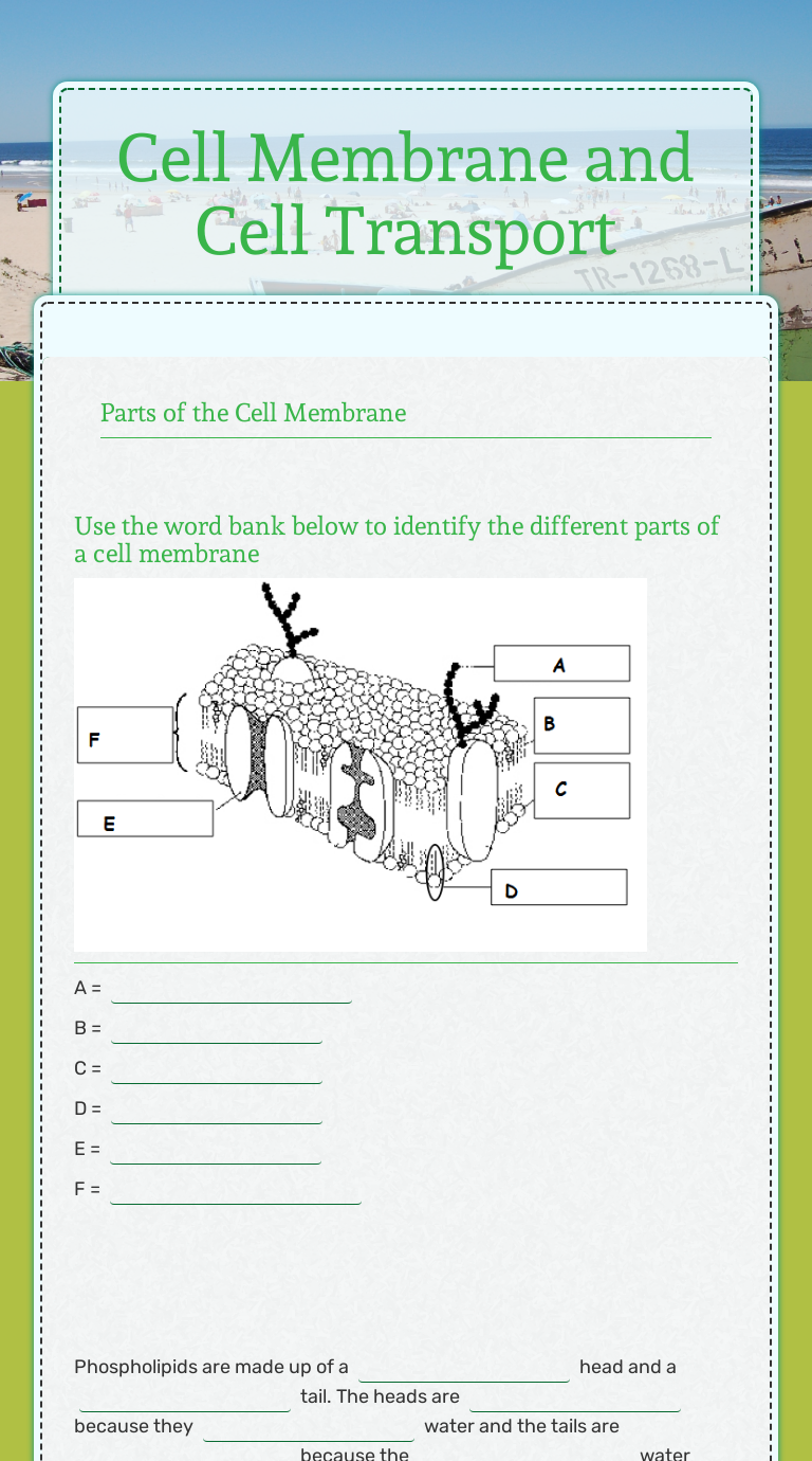 Cell Membrane and Cell Transport  Interactive Worksheet  Wizer.me Inside Transport In Cells Worksheet