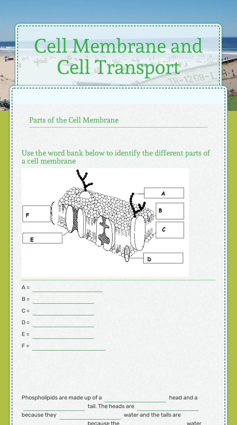 Cell Membrane and Cell Transport  Interactive Worksheet  Wizer.me For Cell Membrane Images Worksheet Answers