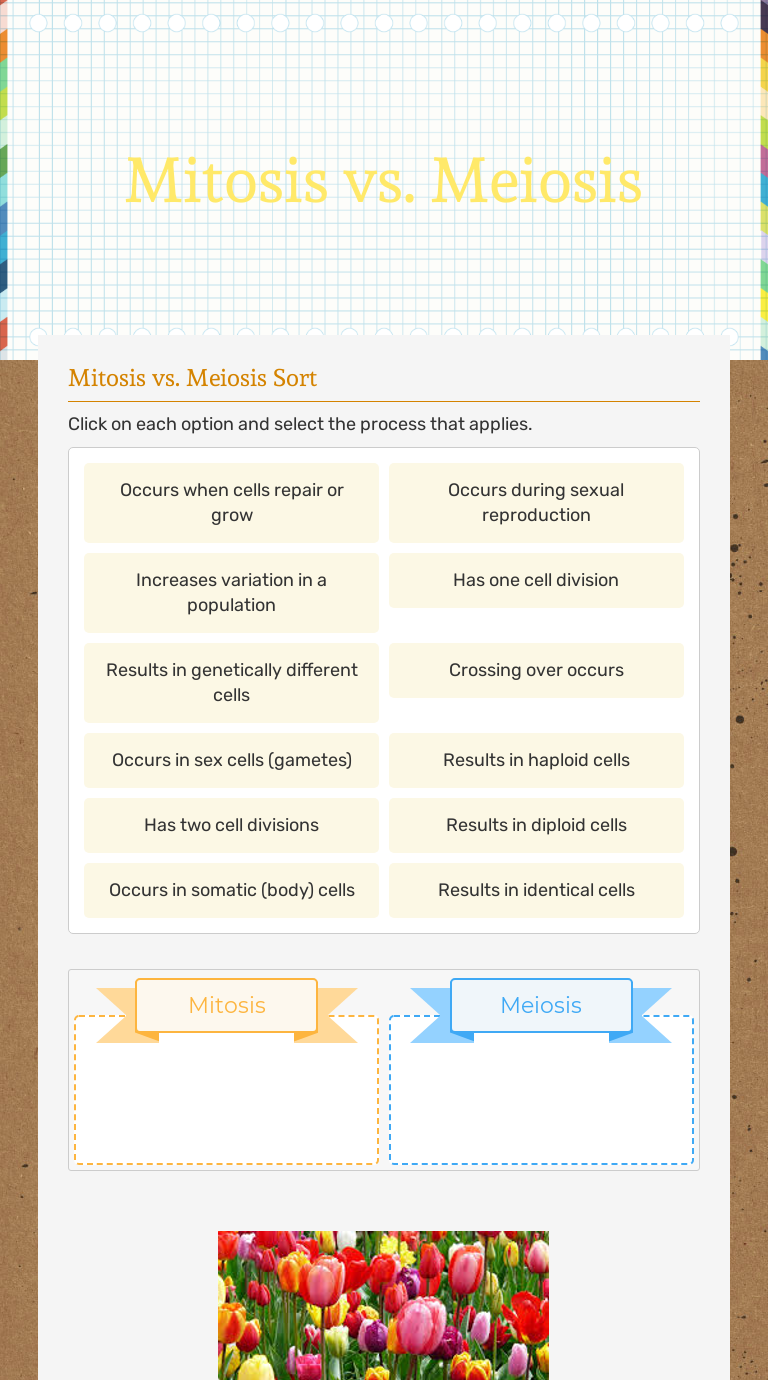 Mitosis Vs Meiosis Interactive Worksheet By Nicholas Vukadinovich Wizer Me