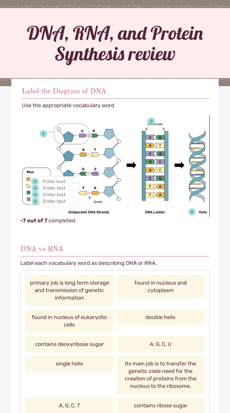 Dna Rna And Protein Synthesis Review Interactive Worksheet By Dana Rodney Wizer Me