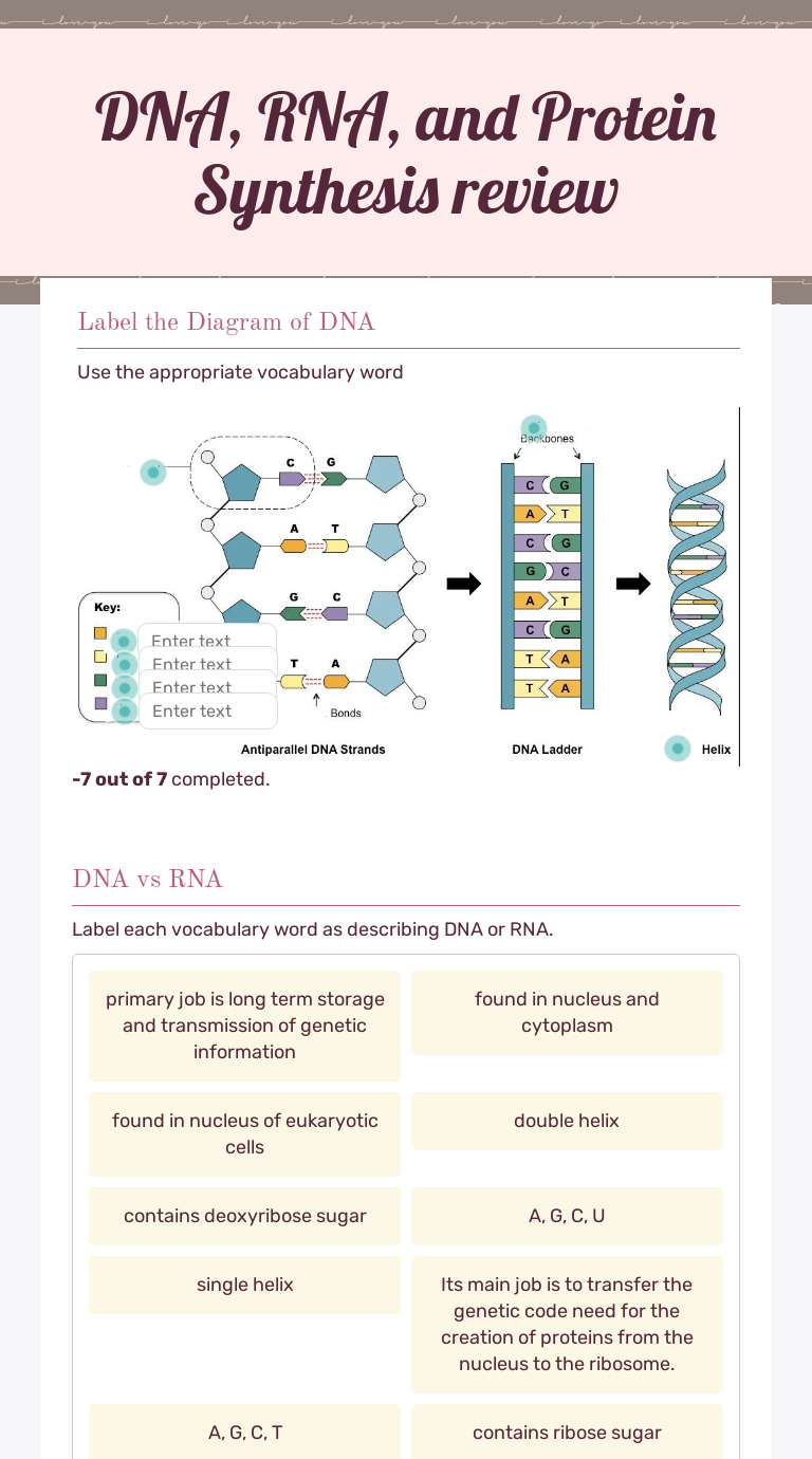 DNA, RNA, and Protein Synthesis review  Interactive Worksheet by With Protein Synthesis Review Worksheet