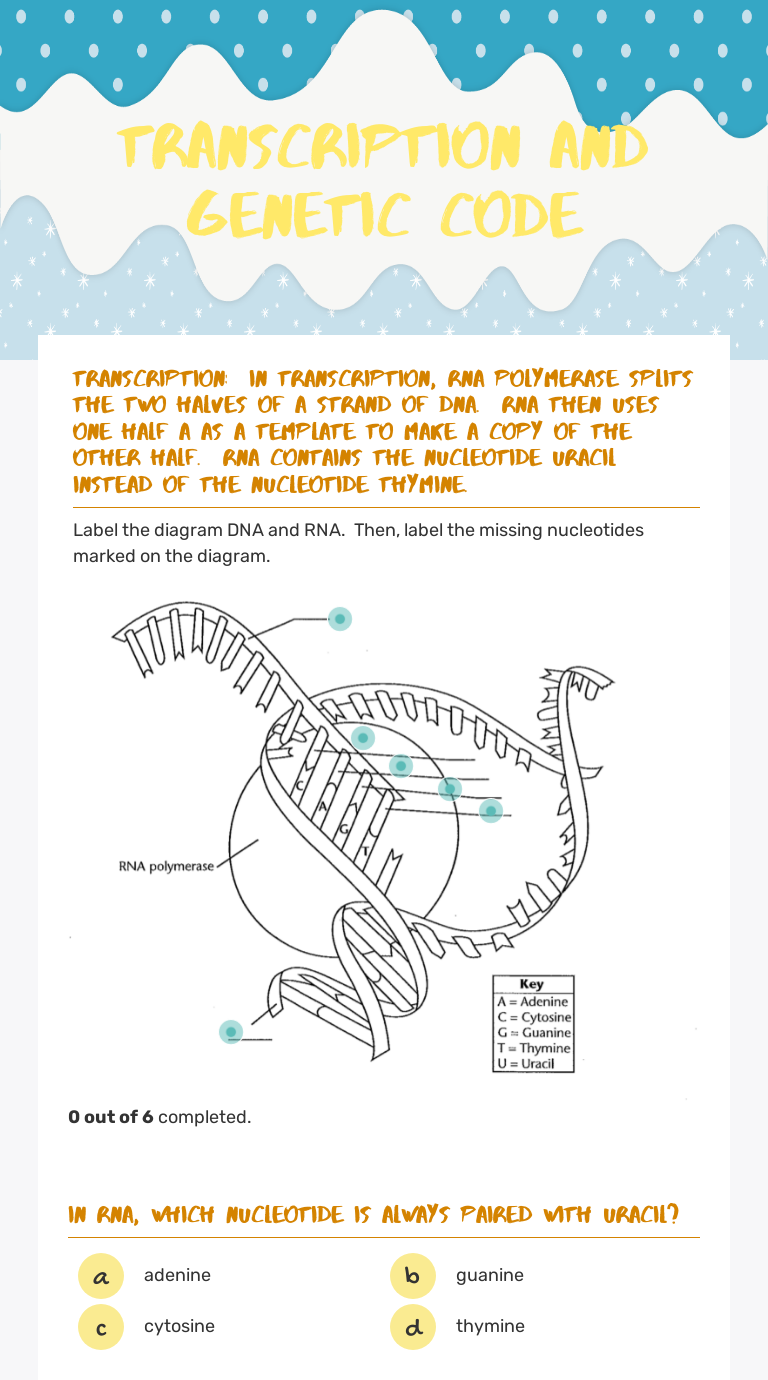 Transcription and Genetic Code worksheet preview