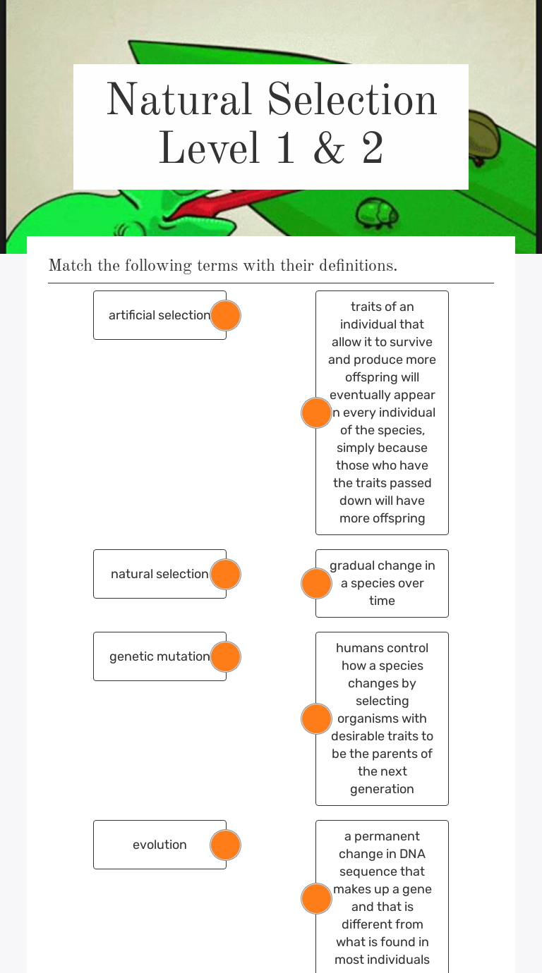 natural-selection-level-1-2-interactive-worksheet-by-amanda-bryson-wizer-me