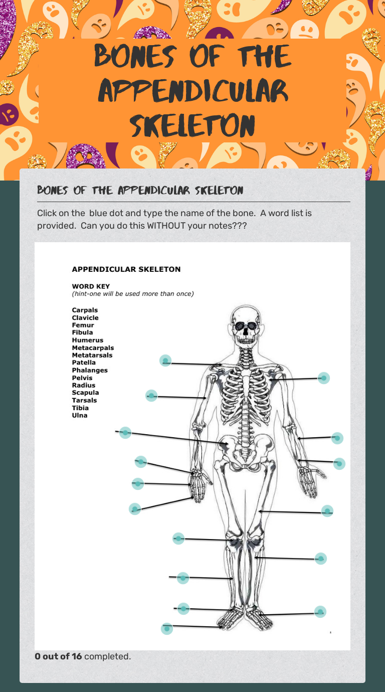 Bones of the Appendicular Skeleton Grade 10 worksheet preview