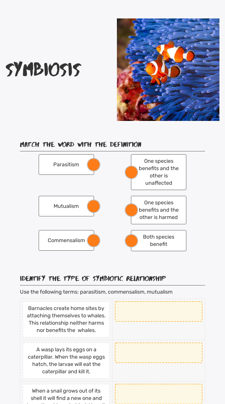Symbiosis worksheet preview image