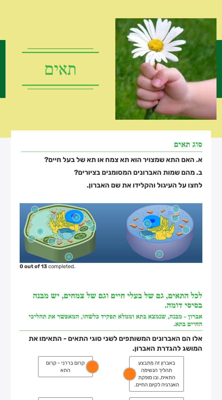 תאים worksheet preview image