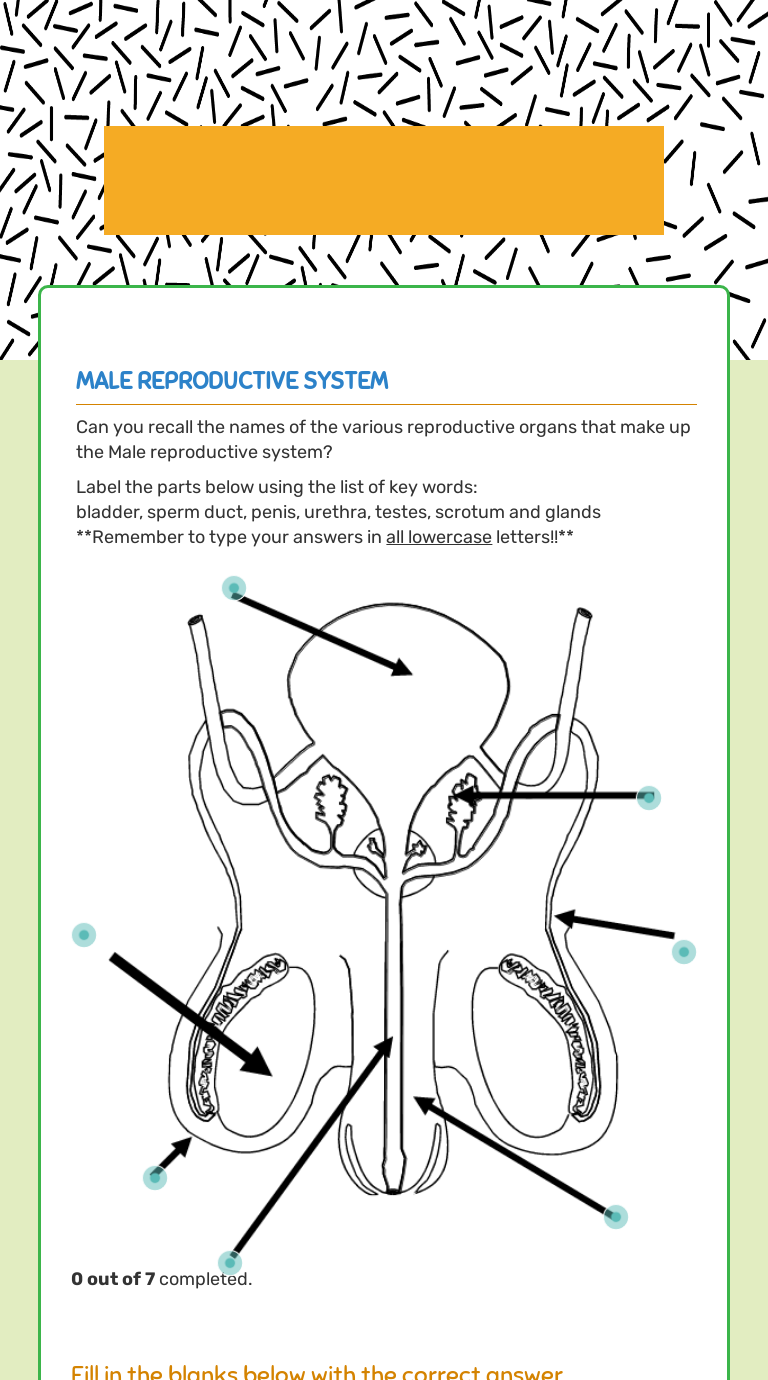 Reproductive system Review worksheet