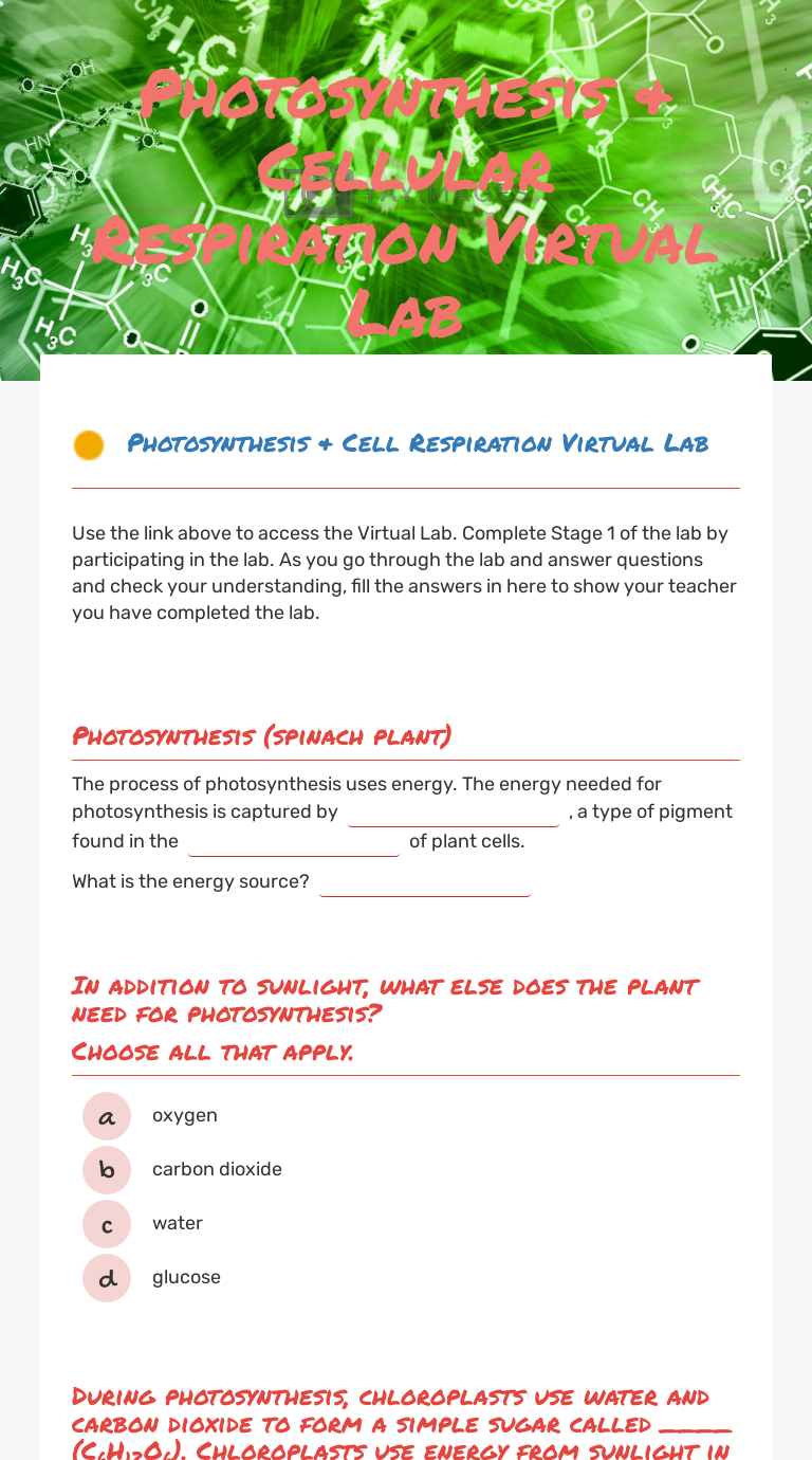 photosynthesis-cellular-respiration-virtual-lab-interactive-worksheet-by-katie-anderson