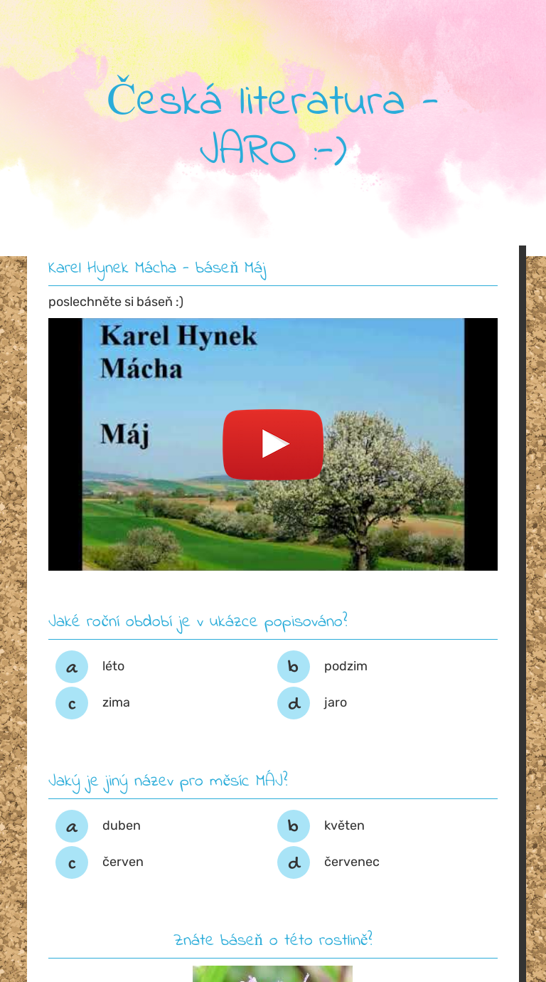 Česká literatura - JARO :-) worksheet preview image