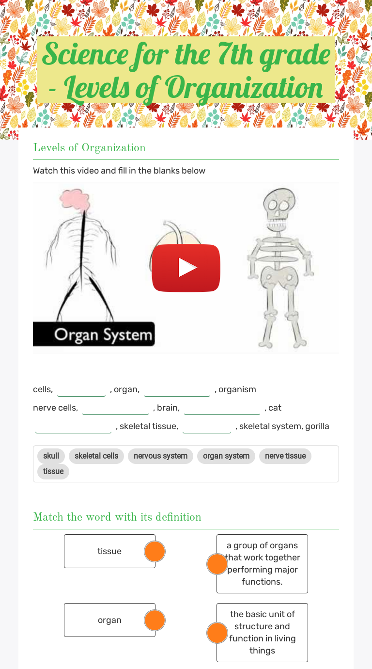 Science for the 7th grade - Levels of Organization worksheet preview image