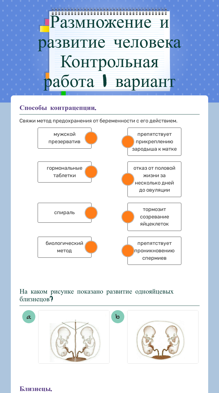 Interactive Worksheets | Wizer.me