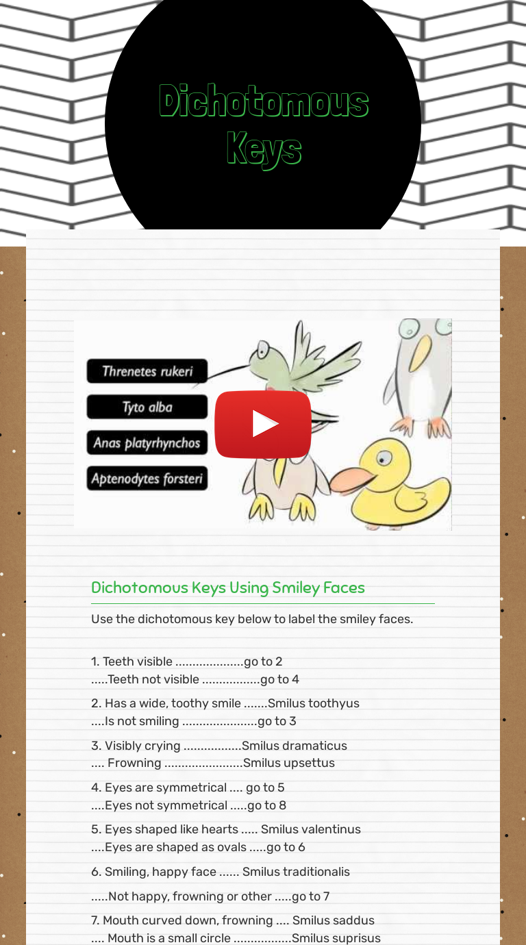 Dichotomous Keys worksheet preview