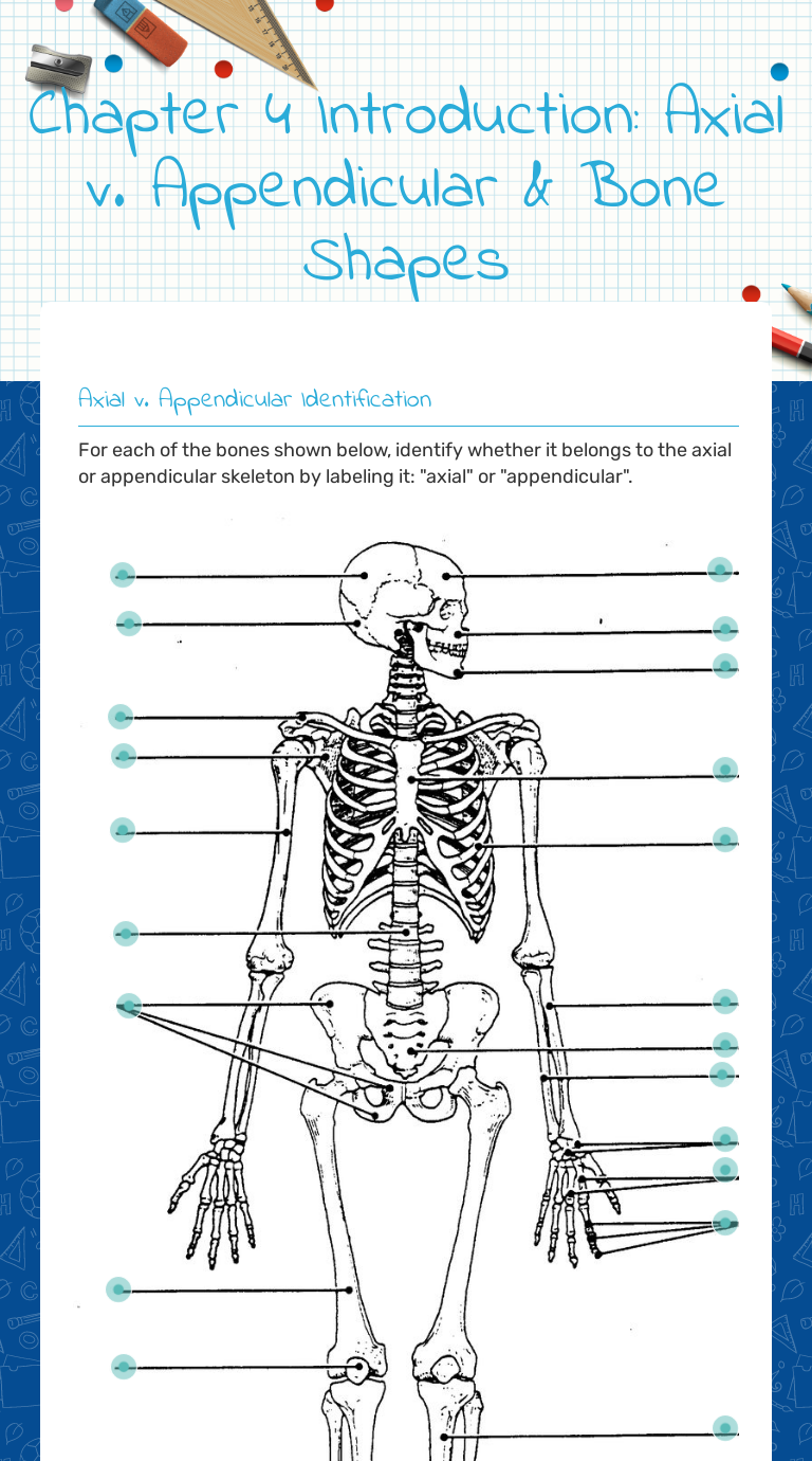 Chapter 11 Introduction: Axial v. Appendicular & Bone Shapes Throughout Appendicular Skeleton Worksheet Answers