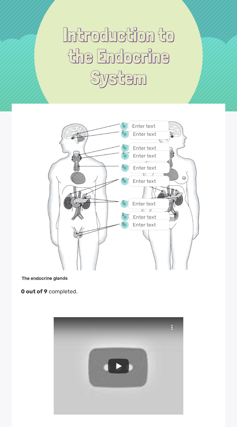 Introduction to the Endocrine System | Interactive Worksheet by Lori