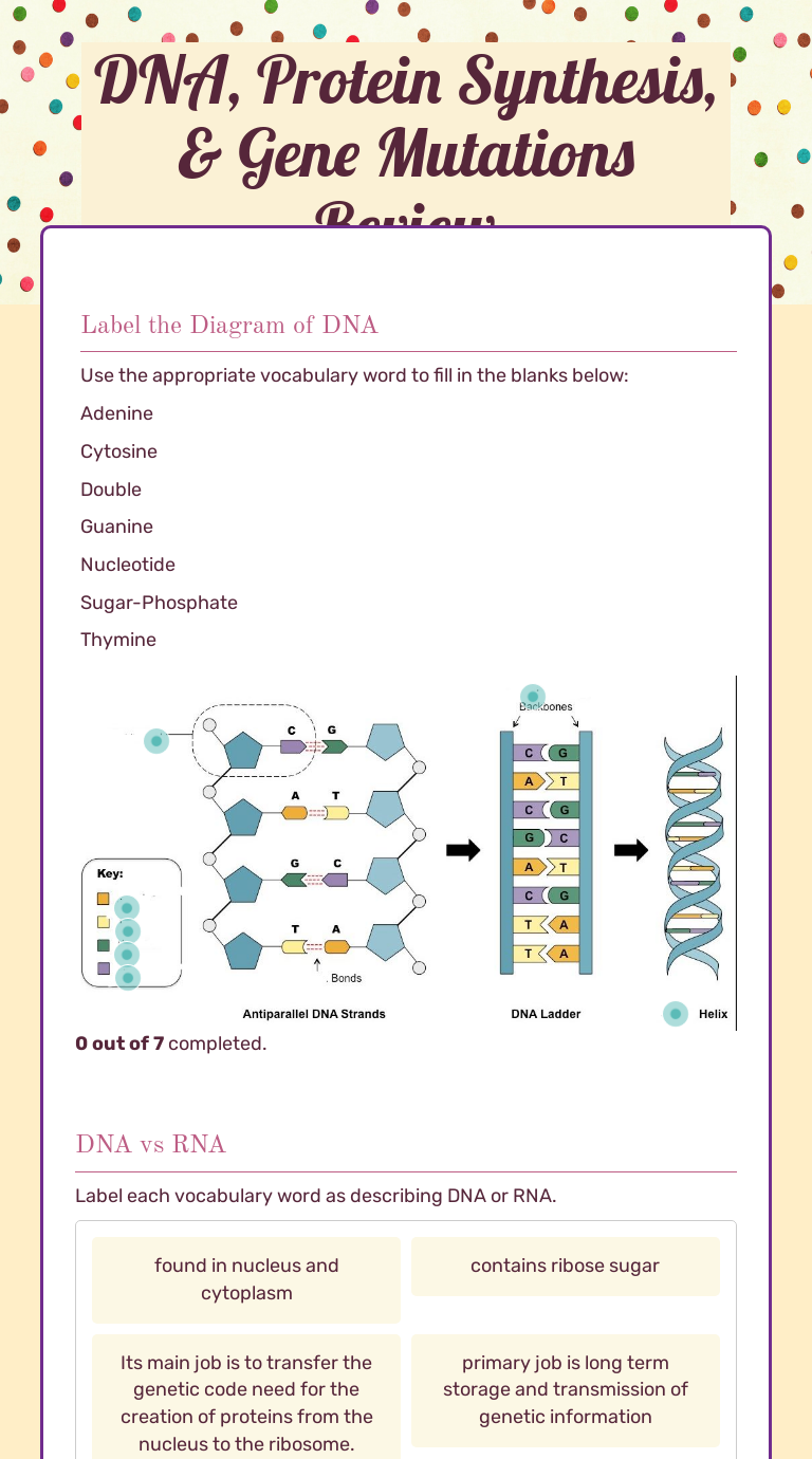 DNA, Protein Synthesis, & Gene Mutations Review | Interactive Worksheet ...