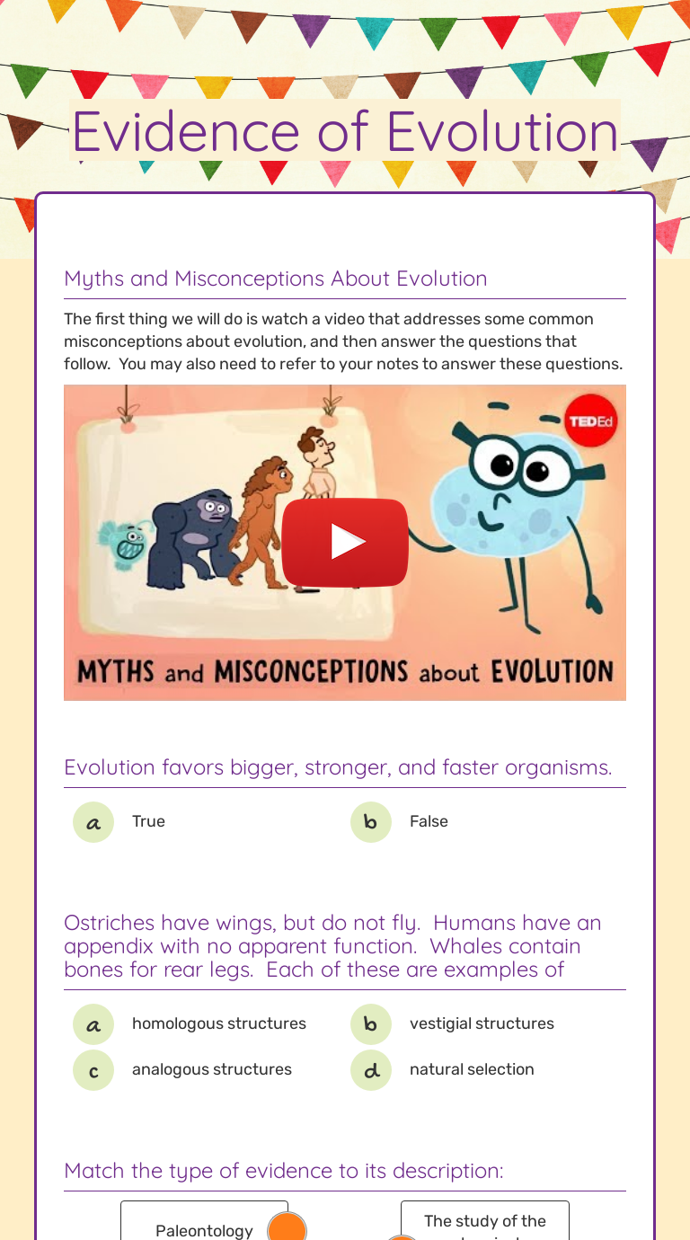 Evidence of Evolution  Interactive Worksheet by Morgan Rodgers With Evidence Of Evolution Worksheet Answers