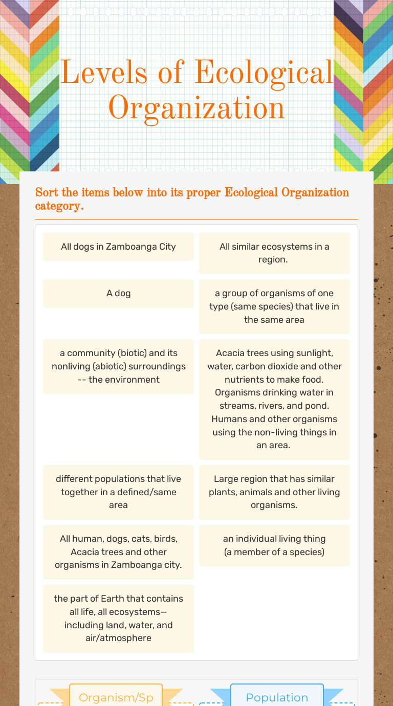 Levels of Ecological Organization worksheet preview image