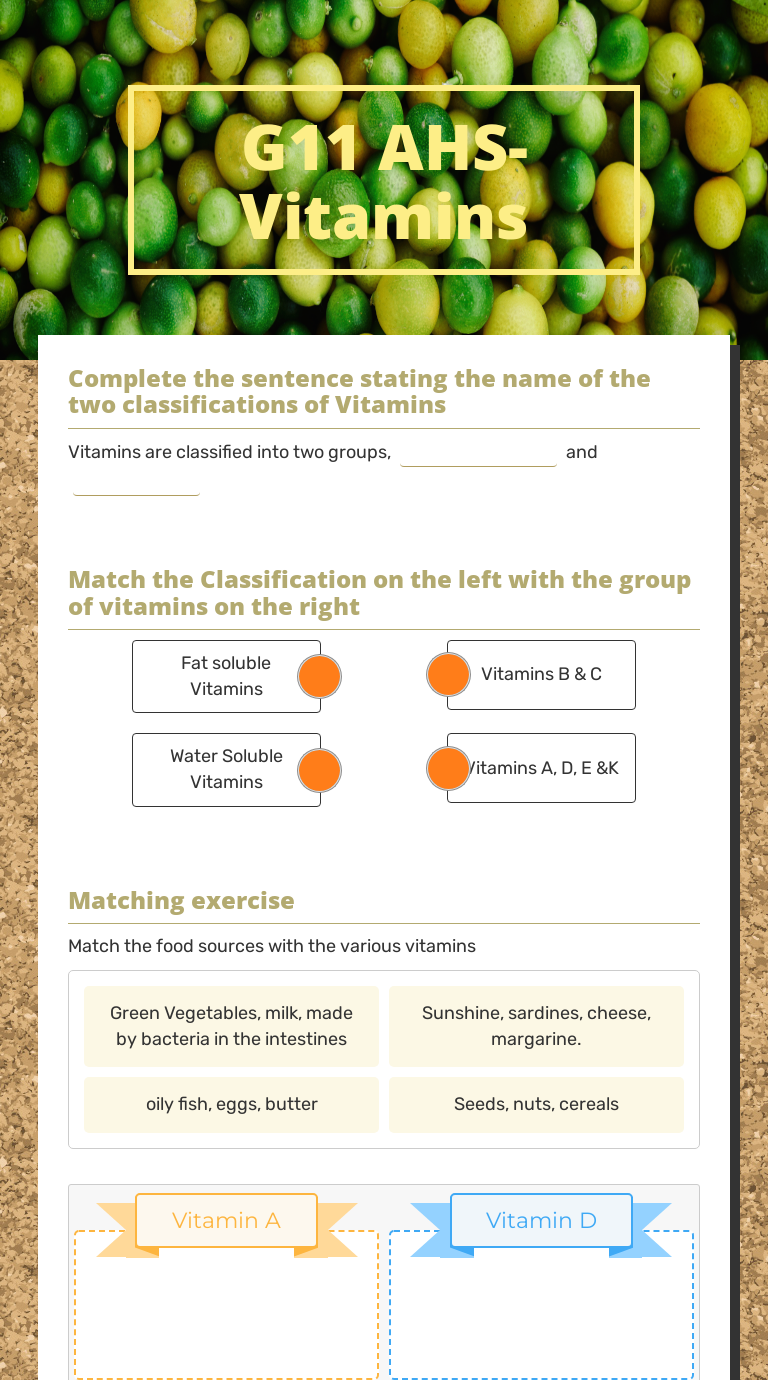 G11 AHS-Vitamins worksheet preview
